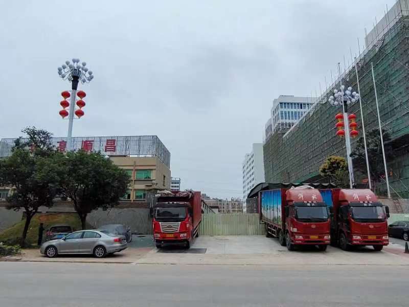 华灯之美�Q�熾放莞城—广东宁兴环保科技有限公司19火中华灯��目