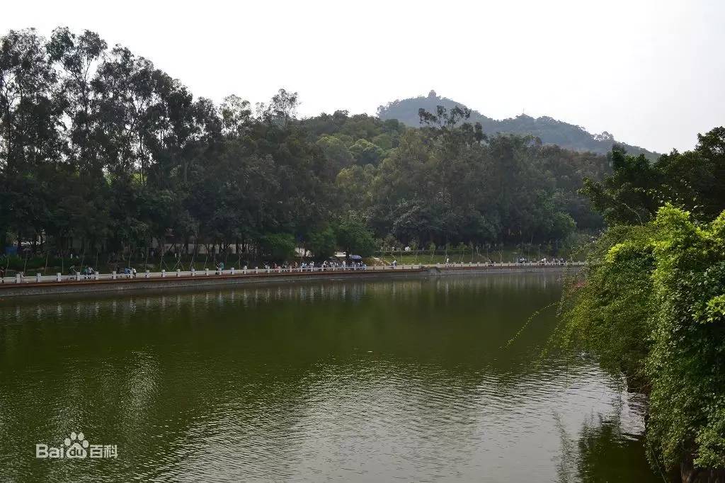东莞旗峰公园局部内景展�C�实物图01