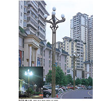 LED模組型中華景觀(guān)路燈